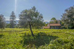 PortugalCopyright  Andre Poling