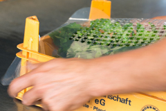 einblicke_450x450px_1-verpackung