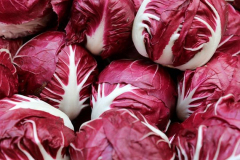 hbv_radicchio_630x480px