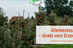 Screenshot_2020-12-24-Ulrich-Harms6