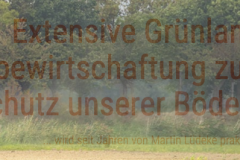 Screenshot_2020-12-11-Hof-Martin-Luedeke2