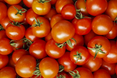 hbv_campari-tomate_630x480px
