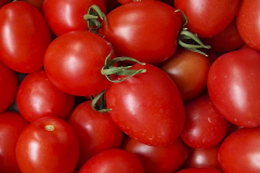 hbv_loreto-tomaten_630x480px