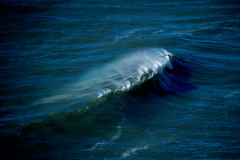 NazarePortugal © Andre Poling
