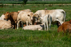 hof_woermbke_homeslider11_1296x600px